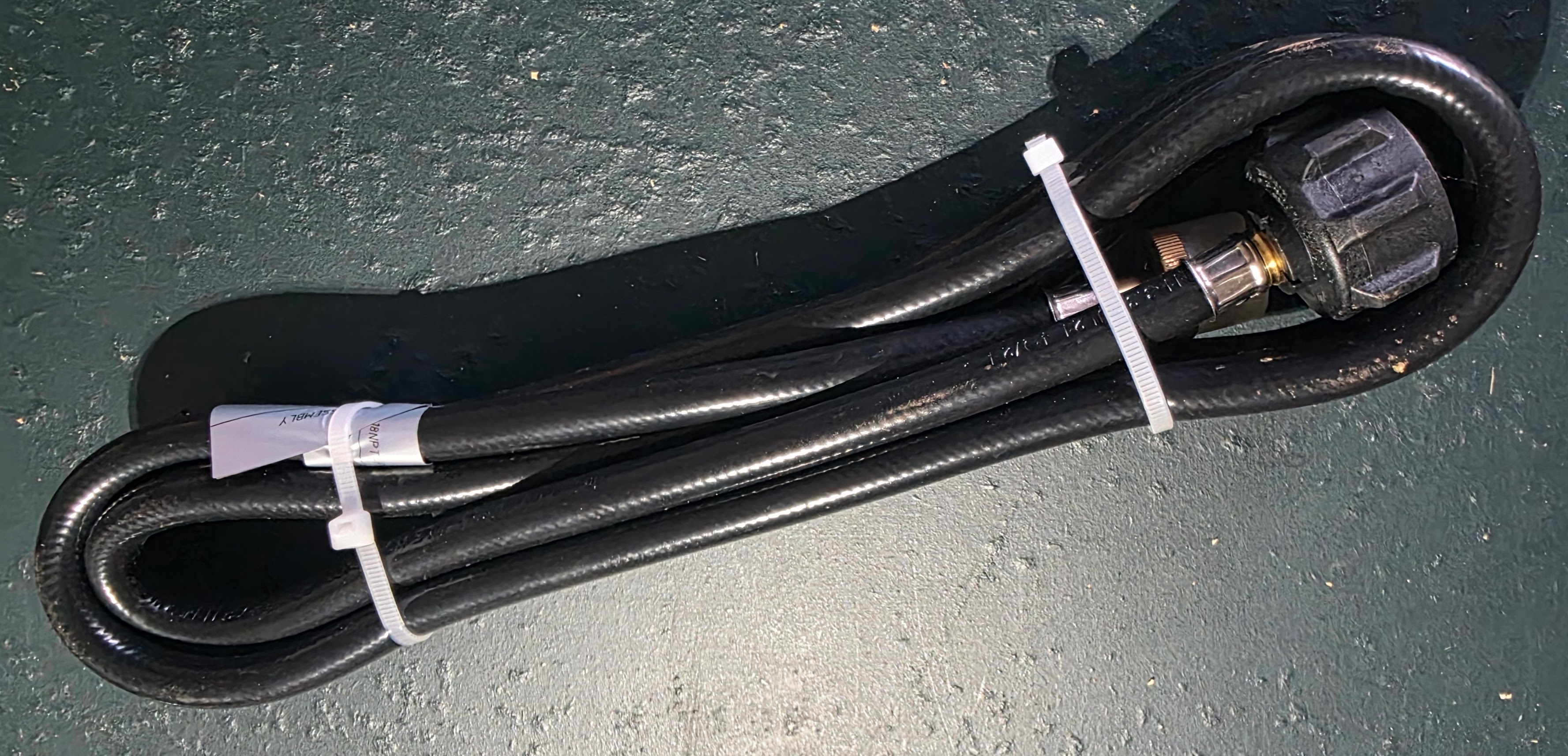 Quanie 10-ft propane hose with tank connector