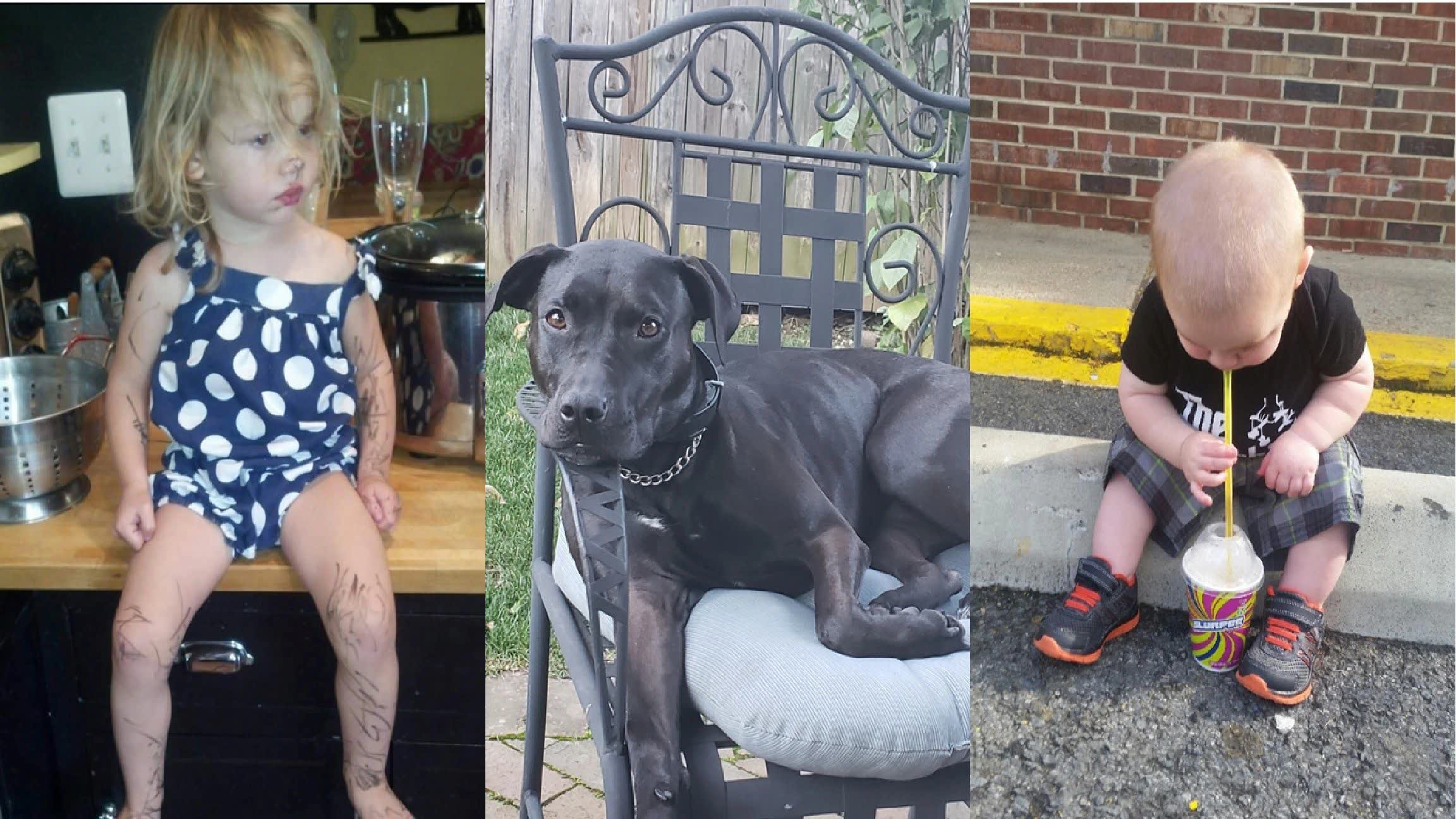 Questionable kids and the dog, in three frames